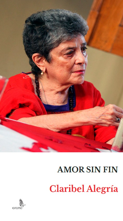 PORTADA AMOR SIN FIN